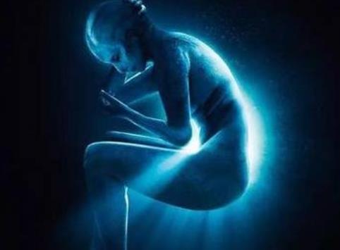 |熬夜也要看完的12部高分电影