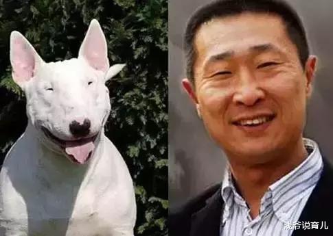 林永健|有种“高级”叫林永健女儿,国人认为的丑小鸭,却是国外的白天鹅