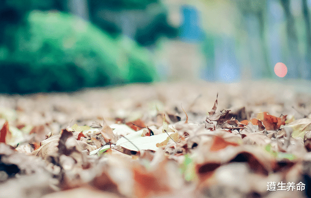 血栓|再不养发，头发越来越少！3个调护法养好气血、顾护脾肾、留住青丝