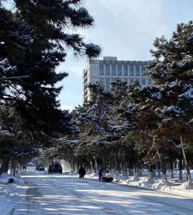 小小旅行端 东北大学雪景，老建筑在雪后更好看
