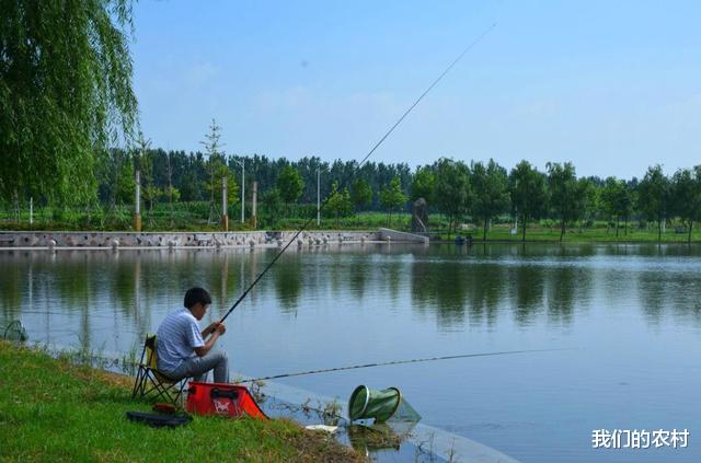 |夏天钓鱼有南风，往往都是一场空，简单3招应变，别人没口你连竿