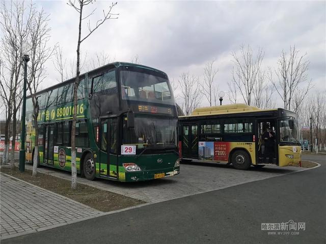 哈尔滨新闻网 新区1号、2号线公交开通丨公交29路、146路已延伸到大剧院停车场