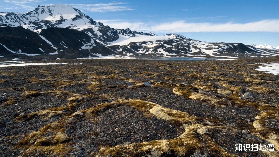 西伯利亚 地球“高烧”不退,史前生物骸骨接连现世,远古病菌或将卷土重来