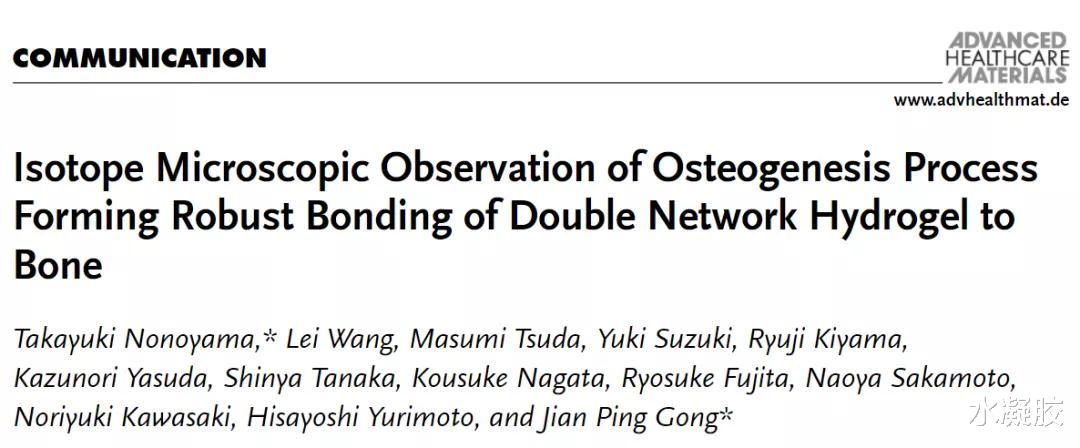 显微镜 野山孝之/龚剑萍《先进医疗材料》同位素显微镜观察水凝胶与骨骼结合成骨过程