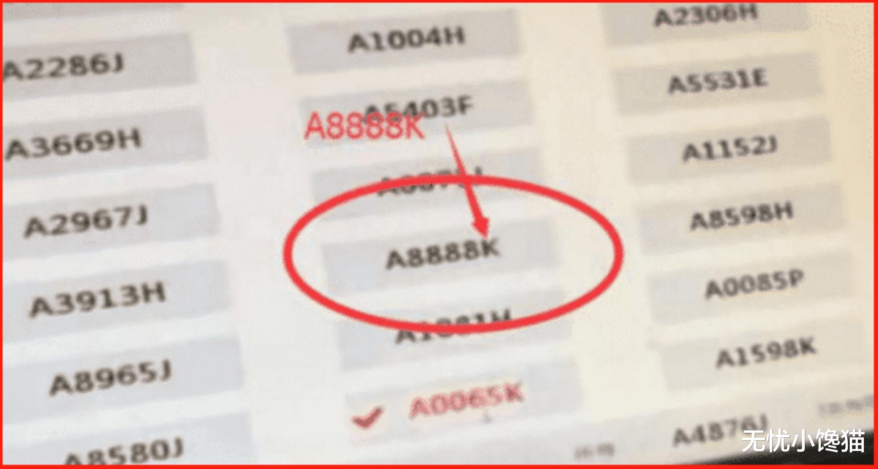 男子车管所摇号,摇到“A8888K”却没选,网友:真是个小机灵鬼