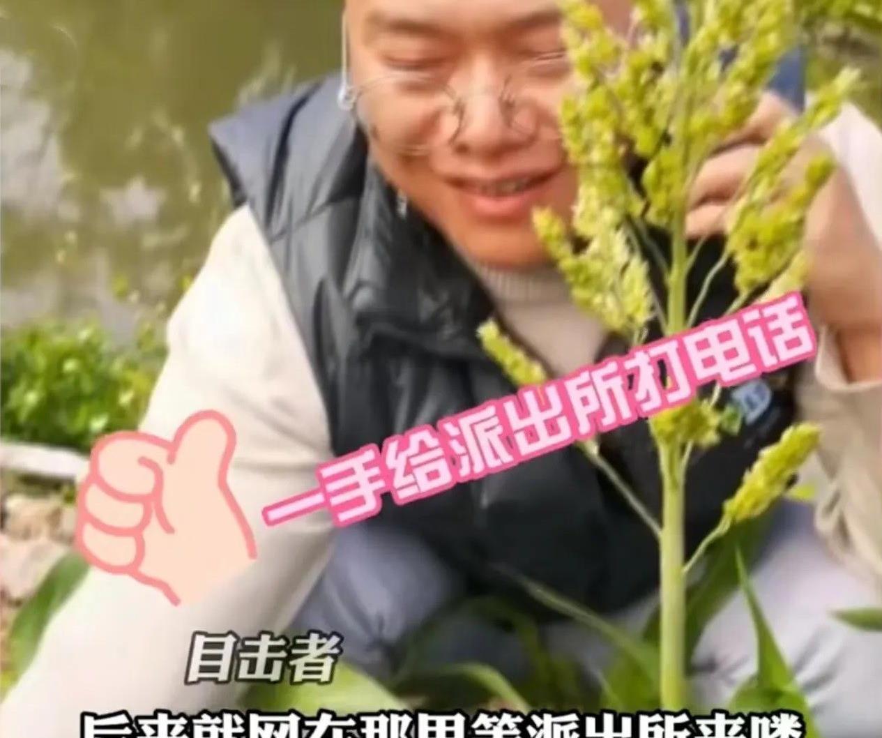 鳄鱼|佛山男子钓到鳄鱼，教科书般的操作后坐等支援，他是如何做到的？