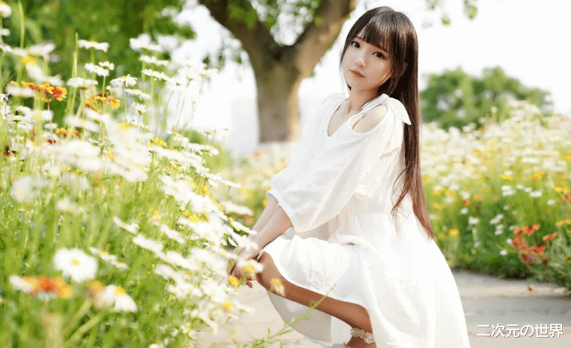 bilibili|B站顶流咬人猫，因年龄大跳舞被嘲讽，粉丝：200万播放量打脸不？