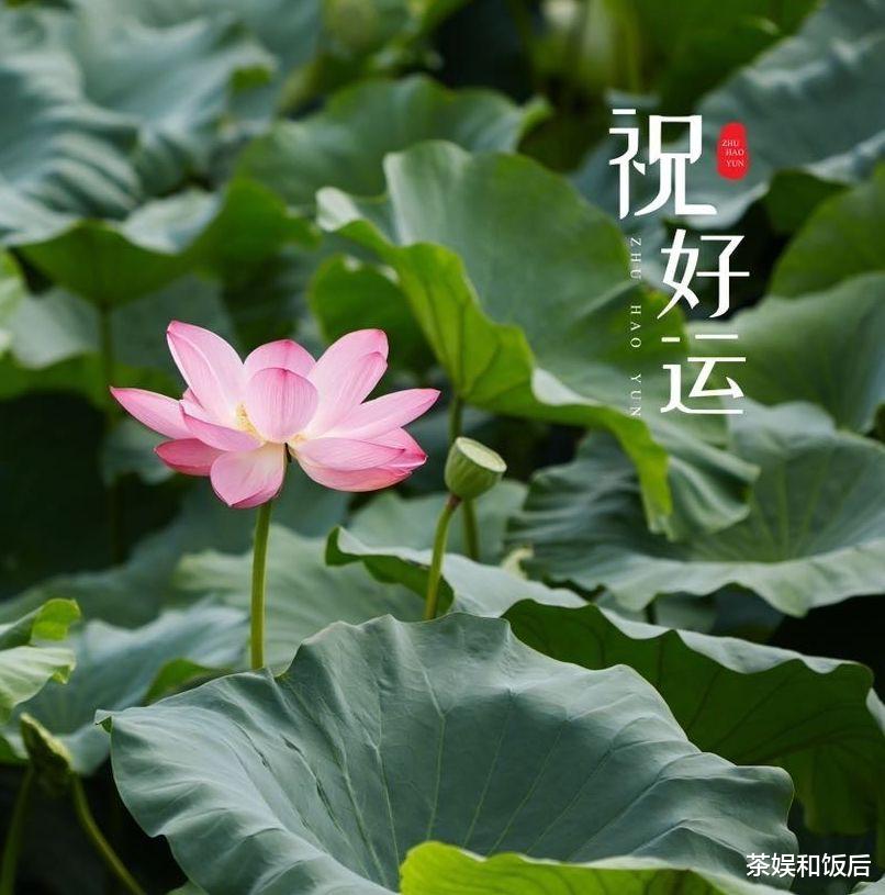 肖战|人气太高也烦恼！肖战深夜发文喊话粉丝：掌声应该属于每一个