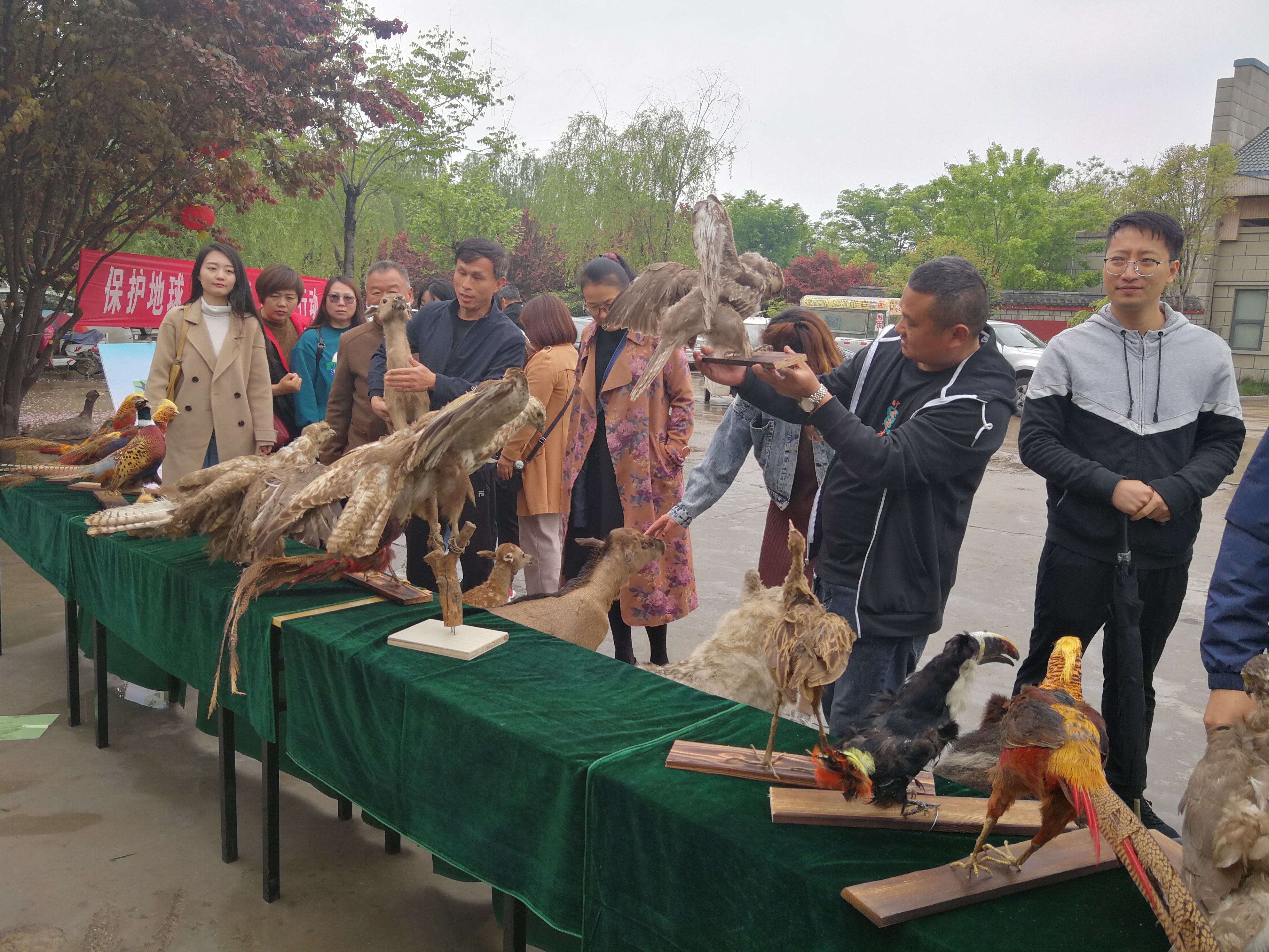 中国山东网菏泽 全市“世界地球日”和“爱鸟周”主题宣传活动启动仪式在牡丹区举行
