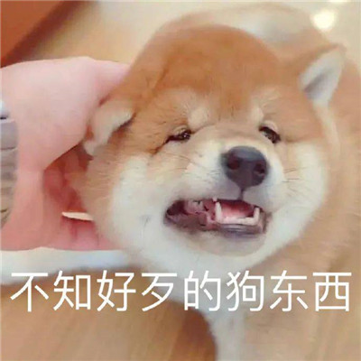 桉月|表情包：照顾好自己