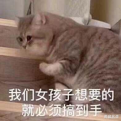 剑三|剑三又出新花样，陈月不当宗主为你指路，玩家：奇怪的牌面增加了