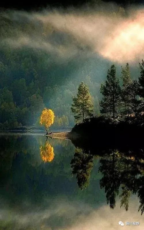 镜头|摄影师镜头下的自然美景，美得无法形容