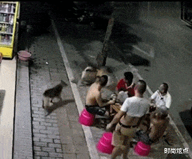 时尚炫点 “德国牌子的菜刀也不过如此,没考虑中国人会用来拍蒜吗?”