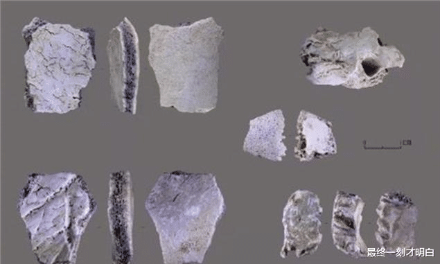 “北京人”不是中国人祖先,河南3.2万年前人类可能是,究竟为啥?