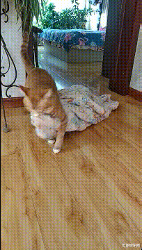 “在网上给孩子买了件衣服，结果上面宽松下面瘦，商家：穿反了”