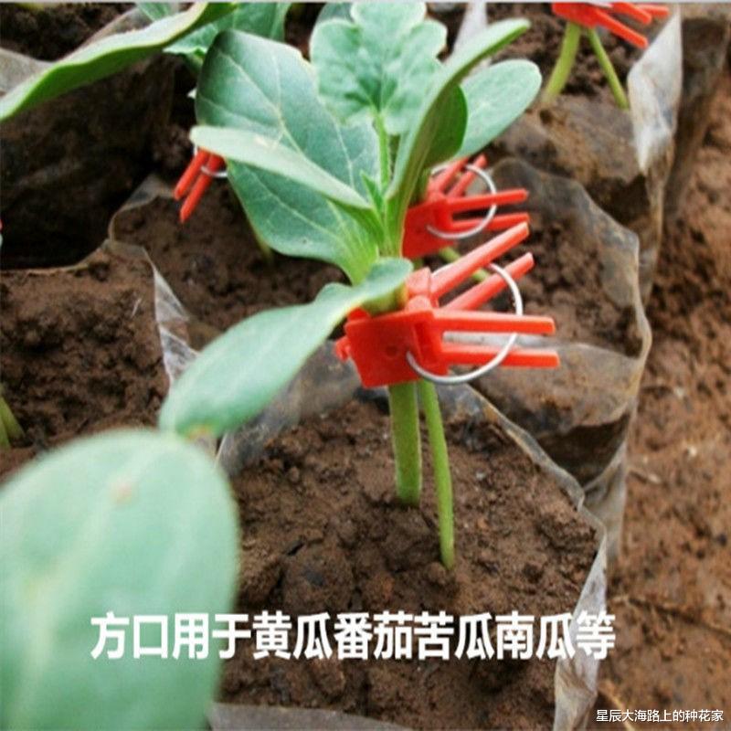 市值 太空辐射能让人基因突变甚至死亡，为什么还能让植物种子变高产？