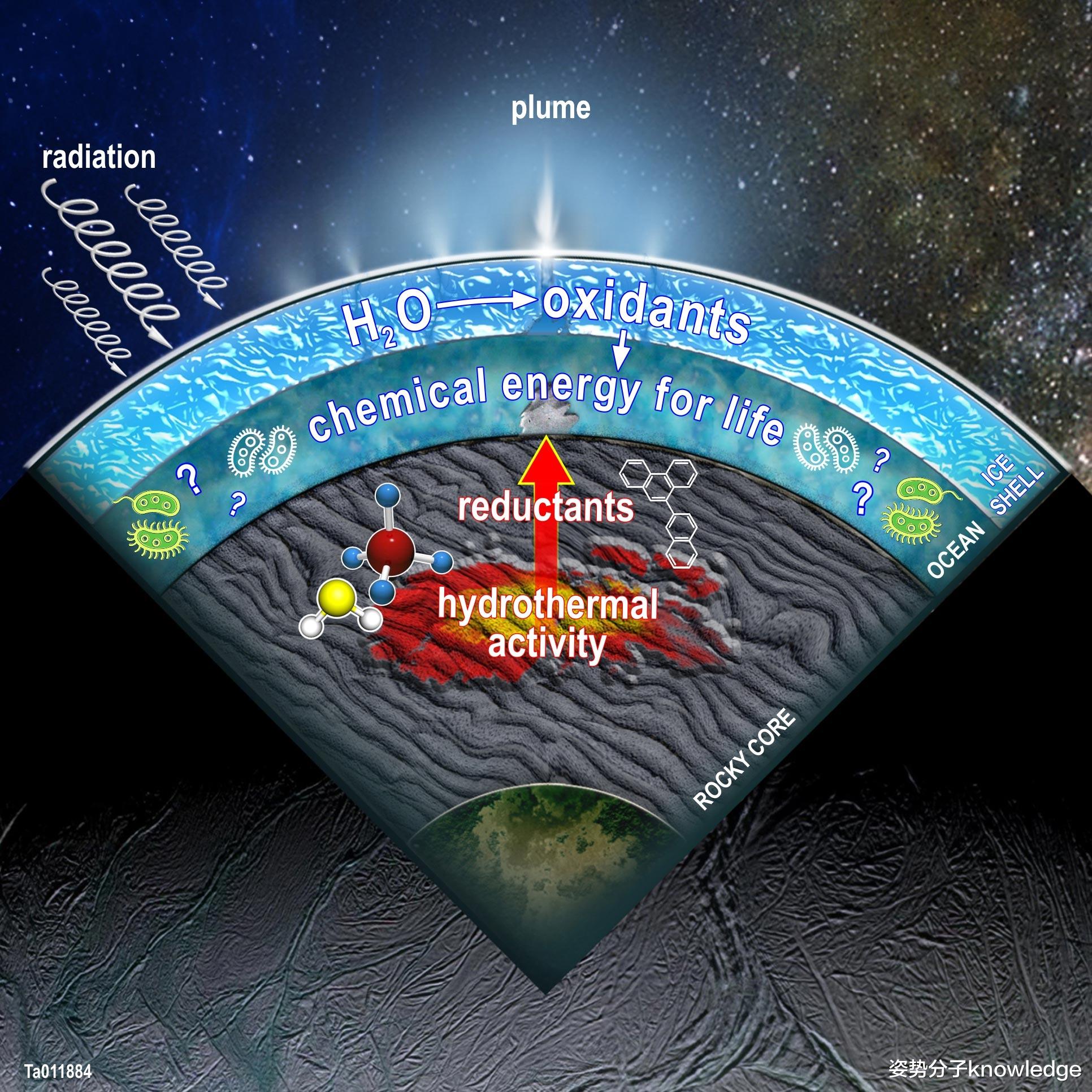 土卫二 也许真的有生命!土星卫星上找到生命踪迹,这一次科学家很有信心