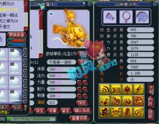 谛听|梦幻西游：伦总打成全服第1的13技能谛听，珍宝阁遭遇5只野猪精？