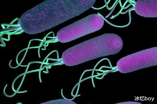 胃病|胃病“祸根”已找到，第一名并非辣椒，若你不碰，胃或会越发健康