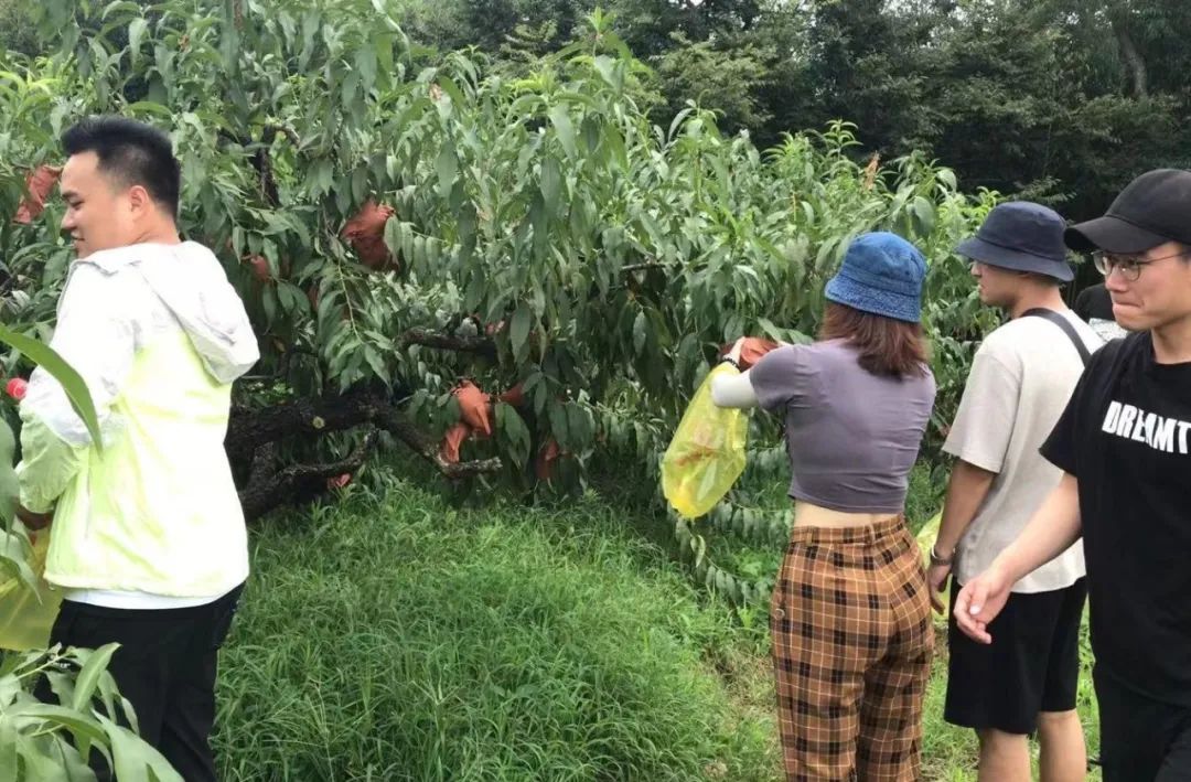 鱼肚|就地过年好去处！这里有份吴房一站式游玩攻略请你收下