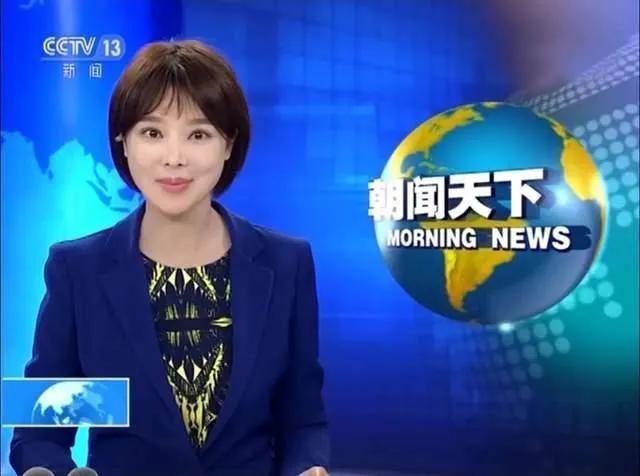 胡蝶|“央视主持”胡蝶，与大12岁名导闪婚，7年生一对儿女