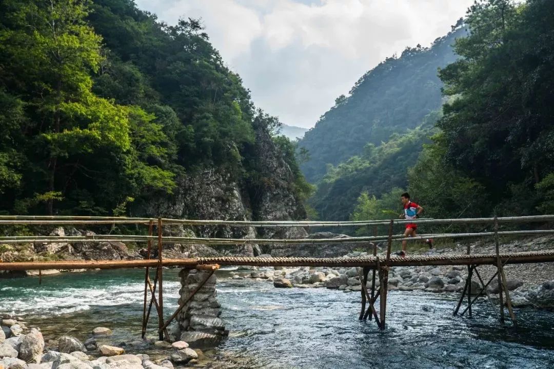 熊猫|你的完赛时间算什么水平？