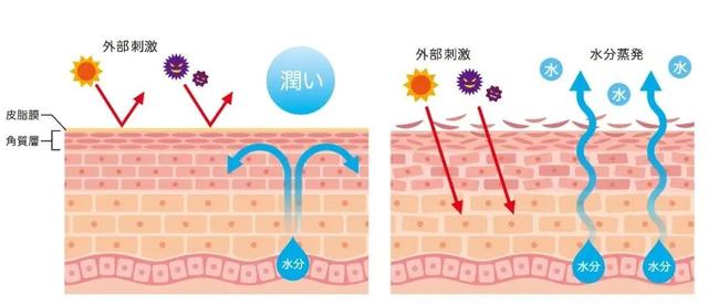 补水|洗脸后，多做1件事，皮肤变好了一大半！