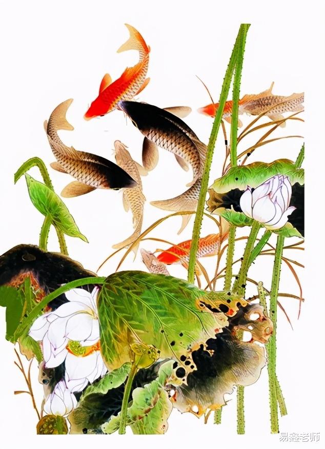 易鑫老师|富贵之家，多有鱼。