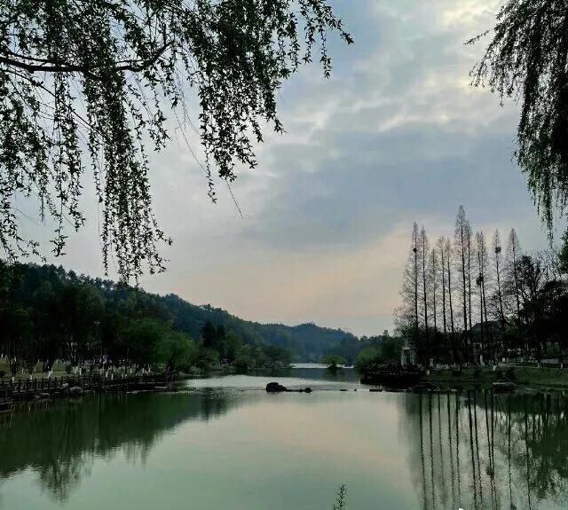 黄磊|黄磊自曝《向往5》他将退居二线，大厨变成彭昱畅，妹妹不退出，有特别朋友加入