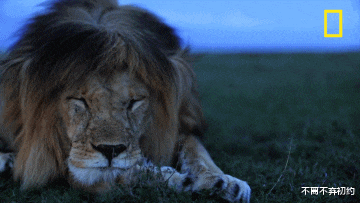 求职|“大学为什么不能把课排满，用两年学完四年的课，不就能早点找工作了嘛？”呵呵