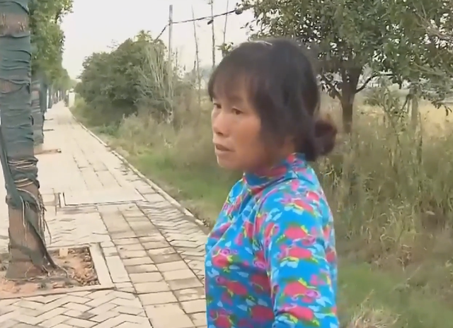 男子离家14年不闻不问,晚年舔着脸回来要赡养,却只看到一片废墟