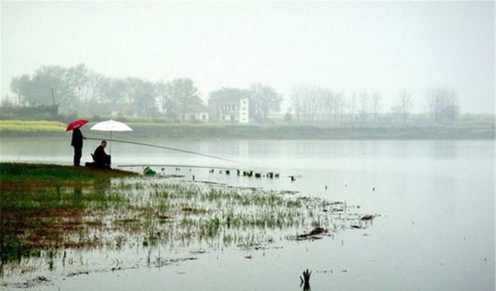 钓鱼技巧|钓鱼技巧:选对钓位的4大因素,找到有鱼群的位置,不愁钓不到鱼