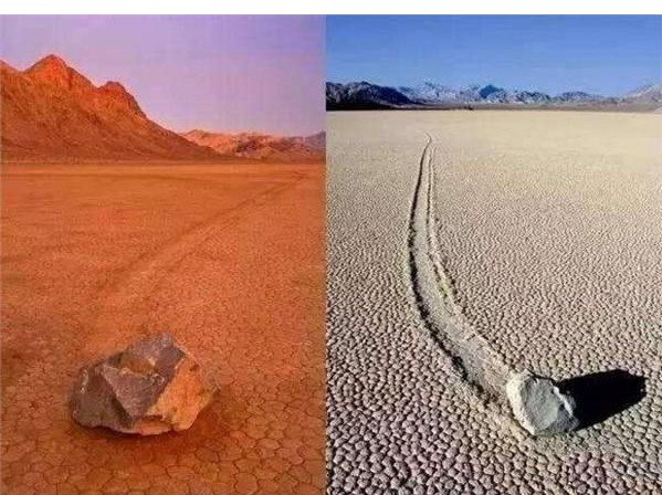 微生物|九大违背人类逻辑的超自然现象