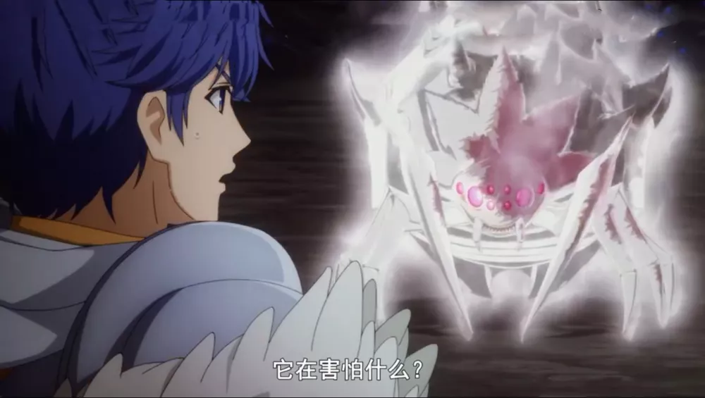 蜘蛛 蜘蛛子的蛋孵化后，出生的小蜘蛛怎么处理？