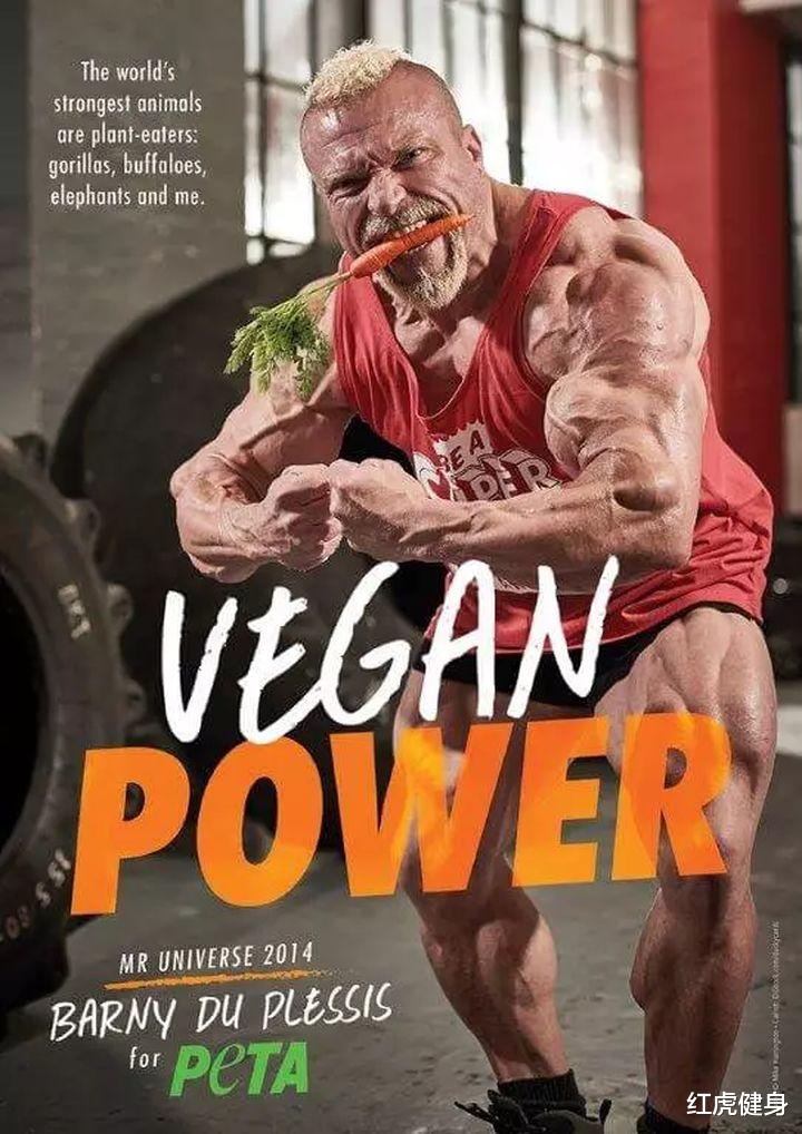红虎健身|素食健美运动员成为健美冠军的秘密武器是什么？