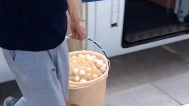 倾心伴你 回想一下这几个场景，或者去看看，你就有奋斗的动力了