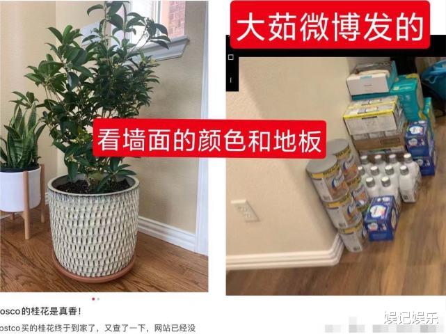 郑爽|郑爽被曝已跟孩子住一起，一双儿女瘦弱头发稀少，好友为luna担忧