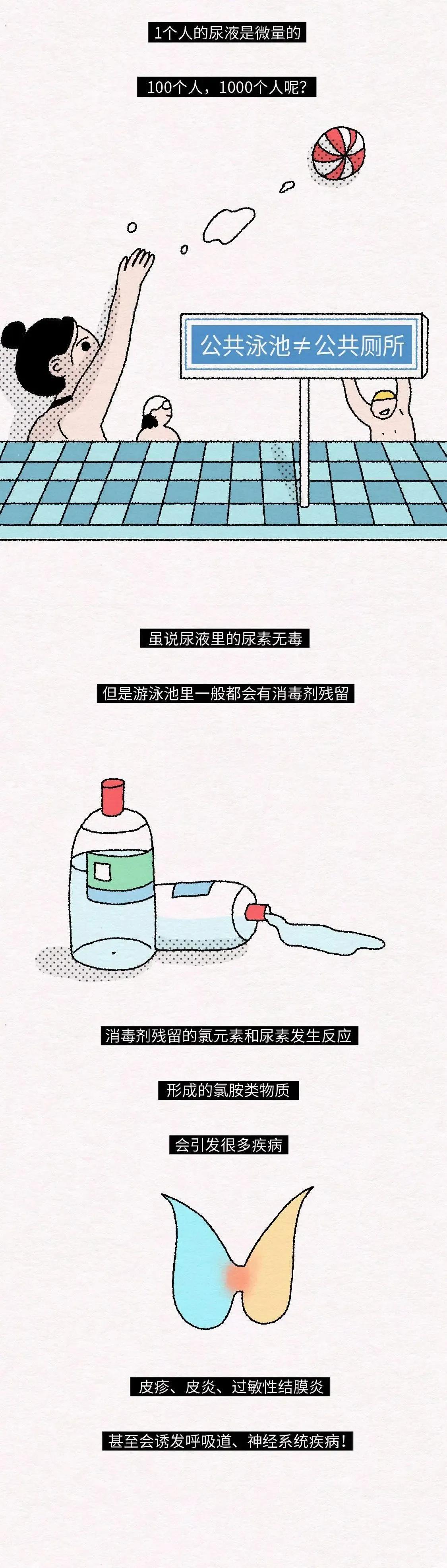 漫画|为啥不能在泳池里“撒尿”?一组漫画告知「真相」,总算有答案了