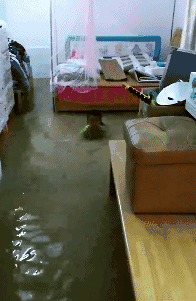 |“我爸说这是龙肉，我不信”哈哈哈哈真香