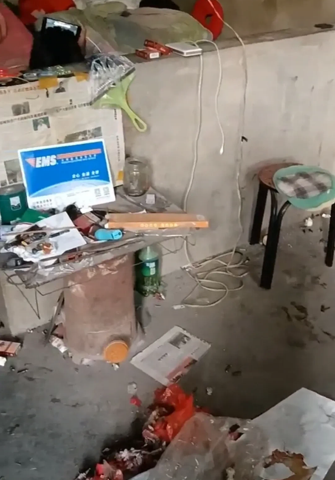 充电宝|20岁小伙天天在家玩手游,值钱东西就两样:手机和充电宝