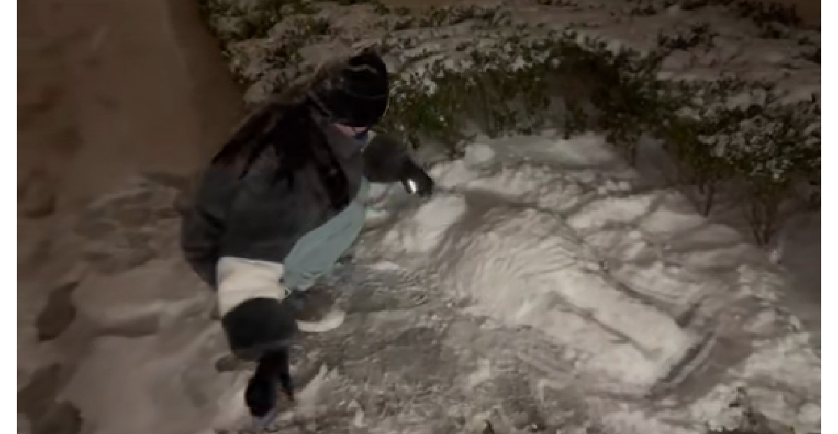 王菲|张靓颖玩堆雪人，小脸冻得通红，疑似男友声音出镜，还对着镜头竖起大拇指