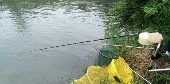 云南|云南的几个钓鱼人火了，野钓罕见收获一只山羊，具体来源成谜