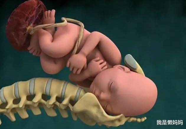 我是懒妈妈|胎宝在肚子里的时候头向下不会头晕吗？ 第一个原因太让人感动了