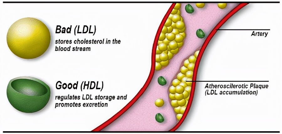 胆固醇|同为强效他汀药,阿托伐他汀和瑞舒伐他汀有啥区别?哪个更好?