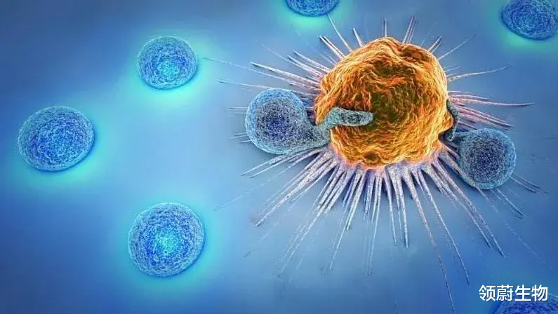 领蔚生物 奇迹案例：激活免疫系统，癌症不药而愈
