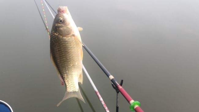 大板|野钓时间长了人就会变“懒”？相信老钓手会有共鸣，新手还在路上