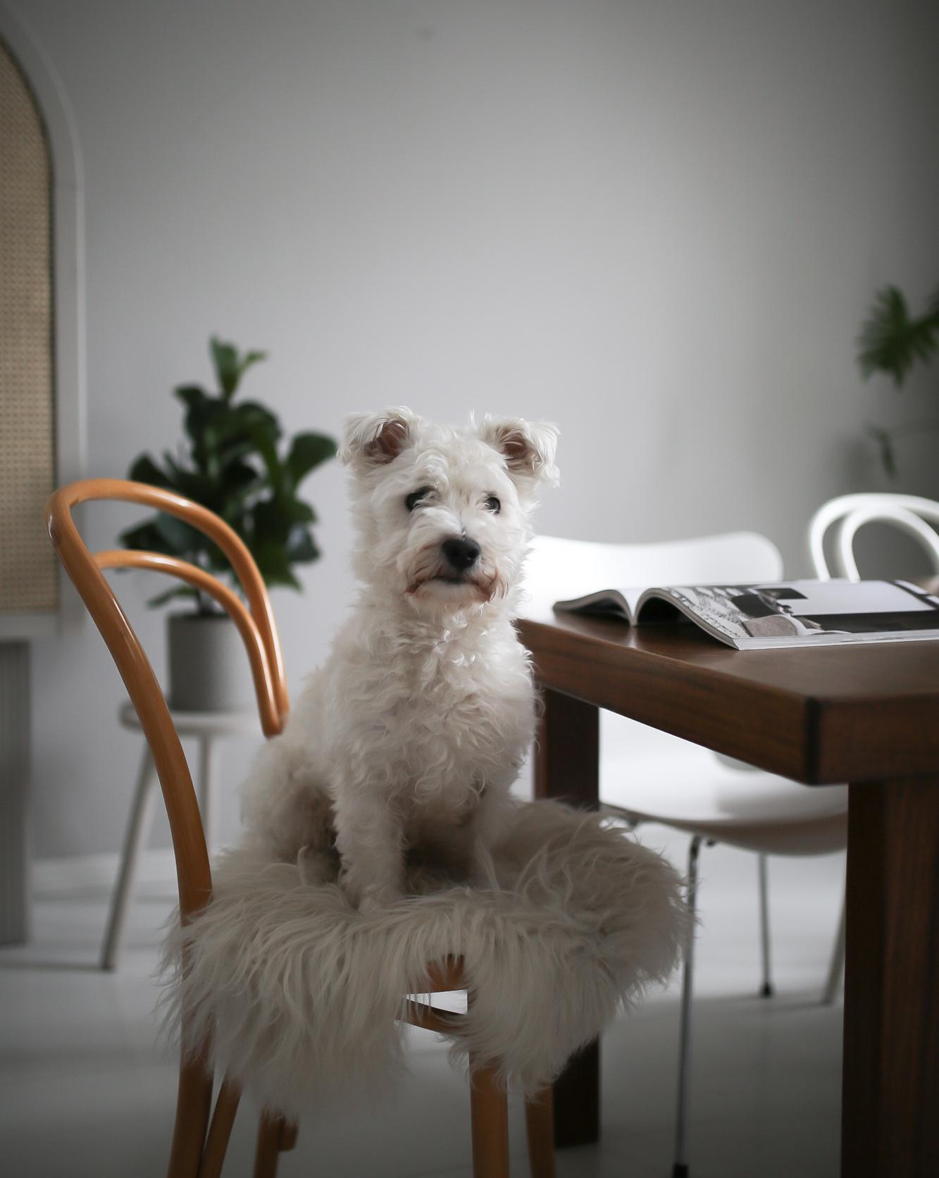 |《空间》第35期：北欧设计师的家，焕发新生的百年木屋