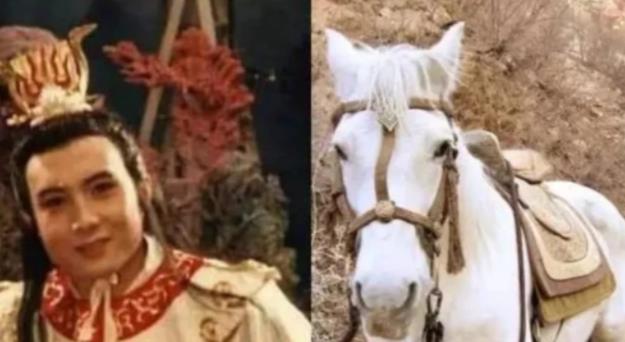 佟丽娅|86版《西游记》被奉为经典，火了师徒四人，白龙马就没那么幸运了