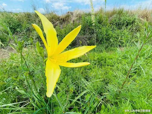 老伴儿风停夜泊聊情感|远离三种人际关系,才能真正过得好(受用的大实话)