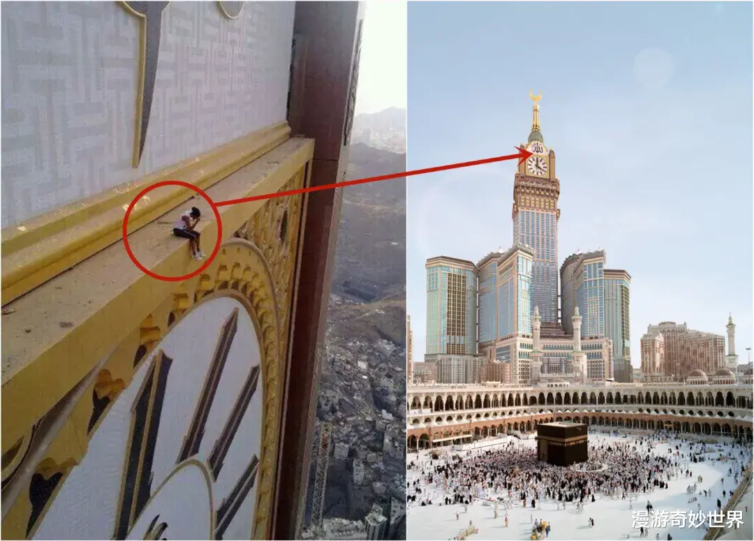 漫游奇妙世界|不比不知道，一只蝌蚪居然能长这么大